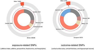 The relationship between coffee-related factors and cortical and hippocampal structure: a triangulation of evidence approach and Mendelian randomization research